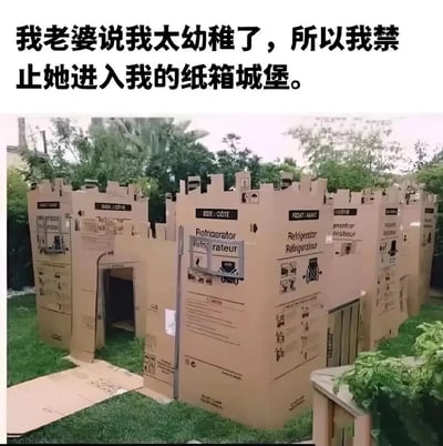 这是一张户外实拍的静态图，画面主体是在草坪上用多个大型快递纸箱拼接搭建而成的城堡结构，纸箱上保留着原本的产品印刷说明、标识和图示，城堡设有可供进出的入口通道，整体模仿真实城堡的城垣样式。图上方配文“我老婆说我太幼稚了，所以我禁止她进入我的纸箱城堡”，以一种幽默的方式展现出成年人保留的童趣，以及和家人之间的趣味互动，充满轻松搞笑又温馨的生活氛围。