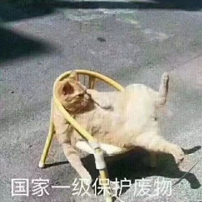这张梗图中，一只橘猫以非常慵懒、摆烂的姿势瘫在一把黄色小椅子上，整只猫仿佛完全没有骨头似地四肢乱伸，看起来特别松弛自在。这种姿态给人一种什么都不在乎、彻底摆烂的感觉。图片底部配有醒目的中文文字“国家一级保护废物”，形成强烈反差萌，表达了一种戏谑与自我调侃。

本图语境中，“废物”与“国家一级保护动物”巧妙结合，搞笑地把猫这种常年被宠溺、酷爱摸鱼的动物比喻成珍稀、宝贵的“废物”，强化了橘猫慵懒、可爱的固有属性。

**双关/暗示说明**：
“国家一级保护废物”属于网络恶搞用语，将“国家一级保护动物”的正经说法用在猫或自己等“废物”身上，自嘲意味浓厚，展现出典型的网络幽默。