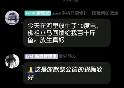 这是一张社交媒体群聊记录截图，显示了两位管理员的幽默对话。LV100管理员发言称“今天在河里放生了10度电，佛祖立马回馈给我百十斤鱼。放生真好”，LV41高级管理员则用双手合十表情回应“这是你献祭公德的报酬收好”，整体氛围戏谑搞笑，通过夸张的“放生电”设定制造幽默效果。