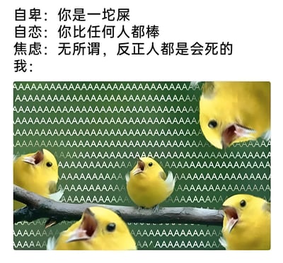 这是一张幽默对比不同心理状态的梗图。上方文字分别列出了自卑、自恋和焦虑三种心态的典型想法："自卑：你是一坨屎"、"自恋：你比任何人都棒"、"焦虑：无所谓，反正人都是会死的"。最后以"我："引出下方图片，展示了五只黄色小鸟站在树枝上张大嘴巴鸣叫的场景，背景是绿色底纹上重复的"AAAAA"图案。图片通过对比夸张的心理状态描述与小鸟齐鸣的生动画面，以幽默方式表达了一种超脱或复杂的自我心态。