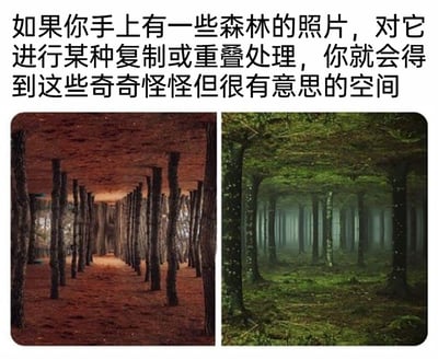 这是一则展示摄影后期创意玩法的图文内容，上方配有说明文字，介绍了通过复制或重叠森林照片来制作奇特空间的方法。下方是两张经过创意处理的森林图像：左侧图像将森林照片进行翻转与重叠，把红棕色的落叶地面同时作为“天花板”和地面，树木则如同长廊的立柱，构建出具有强烈纵深感的室内长廊式视觉效果，打破了真实森林的空间逻辑；右侧图像通过重叠与透视调整，让原本的森林呈现出类似多层立柱的幽暗空间，雾气弥漫的环境进一步增强了神秘、超现实的氛围，两张图都利用视觉错位，将普通的森林场景转化为充满想象力的奇幻空间。