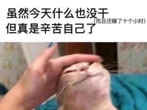 这是一张P图改编的图文混排表情素材图，画面主体是一只真实的猫咪，被一只真人的手抚摸下巴，猫咪眯起双眼，仰头露出惬意满足的神情，姿态放松享受；画面上方配有白色底的黑色文字：“虽然今天什么也没干，但真是辛苦自己了（而且还睡了十个小时）”。图片用幽默自嘲的方式，精准调侃了当代年轻人即便一天无所事事、长时间睡眠，却依然会觉得疲惫的状态，契合当下网络中的躺平文化，能够生动表达人们虚度时光后自我打趣的心情，常被用作社交媒体聊天中的表情包。