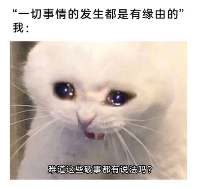 这是一张图文结合的吐槽类表情包，上方以“一切事情的发生都是有缘由的”这句话作为引子，引出“我”的反应；下方是一只眼眶噙满泪水、表情委屈又带着崩溃愤怒的白色猫咪，猫咪下方配文“难道这些破事都有说法吗？”。该图精准捕捉了人们在生活中遭遇一堆糟心事时，听到“事出有因”这类鸡汤式话语的不满、委屈与崩溃情绪，用猫咪的委屈神态放大了这种情绪，极易引发人们在面对生活不顺时的共鸣，常被用于社交平台抒发负面情绪。