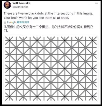 这是一张Twitter（现X平台）截图，用户Will Kerslake分享了一张视觉错觉图片。图片主体是由灰色线条构成的网格图案，交叉点处分布着十二个黑点。推文文字（含Google翻译的中文版本）指出，尽管图中有十二个黑点，但人的大脑无法同时看到所有黑点，展现了大脑视觉认知的有趣现象。