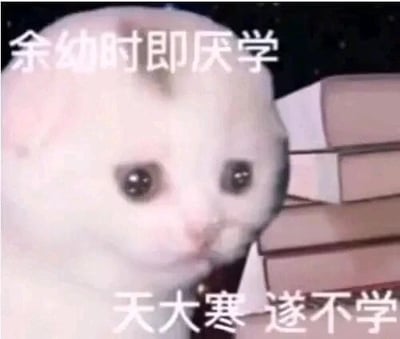 暂无描述