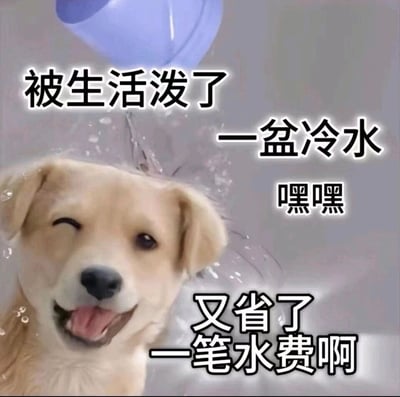 这是一张充满幽默感的网络梗图，画面主体是一只浅色小狗，正被一盆冷水泼到，小狗却眯起一只眼、吐着舌头，露出十分开心的表情。图中配文“被生活泼了一盆冷水 嘿嘿 又省了一笔水费啊”，用自嘲又乐观的视角，将生活中遭遇的挫折、不如意比作“被泼冷水”，却反向解读为“省了水费”，以苦中作乐的方式消解负面情绪，传递出一种积极调侃生活压力的态度，适合在遭遇不顺时用来自我安慰或和朋友调侃。