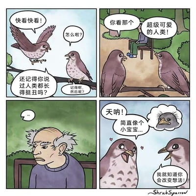 这是一则四格搞笑卡通漫画，讲述了两只鸟的趣味反差故事。第一格中，一只鸟兴奋地飞过来，和树枝上的同伴提起对方之前“人类都长得丑”的言论；第二格两只鸟看向坐在户外椅子上的老人，称其为“超级可爱的人类”；第三格是老人的特写，他头顶秃顶、两侧头发炸毛，表情不悦且无语；第四格两只鸟激动地感叹老人“简直像个小宝宝”，还在想象中把老人的脸替换成了鸟宝宝的样子，原来在鸟的审美里，老人的发型和鸟宝宝的形态相似，所以被判定为“可爱”，通过动物与人类的审美反差制造出荒诞搞笑的效果。
