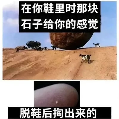 这是一张上下对比结构的趣味梗图，上半部分呈现沙漠坡地场景，一块体积巨大的岩石停在坡顶，坡上分布着若干只山羊，顶部配文“在你鞋里时那块石子给你的感觉”，用夸张的视觉效果表现鞋内进石子时硌脚的强烈不适体感，仿佛被巨石压迫；下半部分是特写镜头，指尖捏着一颗体积非常细小的石子，底部配文“脱鞋后掏出来的”，上下内容形成强烈反差，精准吐槽了鞋里进石子时体感的夸张程度和石子实际大小的落差，很容易引发大众的日常体验共鸣。