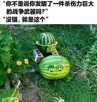 这是一张幽默梗图，上方配有两行对话文字，下方是一张实拍场景图。对话内容为：“你不是说你发明了一件杀伤力巨大的战争武器吗？”“没错，就是这个”。实拍图中，绿色草地上放着两个西瓜，其中一个西瓜被添加了卡通化的面部表情，眼睛圆睁，带着一丝狡黠，旁边还有一个小型金属装置。整体通过将日常水果“西瓜”与“战争武器”进行夸张关联，形成强烈反差，达到搞笑效果。
