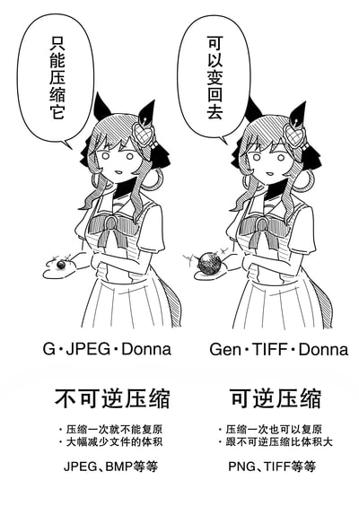 这是一张以卡通猫耳少女为形象的科普梗图，通过左右对比的方式解释图像压缩技术。左侧少女标注为“G·JPEG·Donna”，手持一个小光球，对话框文字为“只能压缩它”，下方说明“不可逆压缩：压缩一次就不能复原，大幅减少文件的体积，JPEG、BMP等等”；右侧少女标注为“Gen·TIFF·Donna”，手持一个较大光球，对话框文字为“可以变回去”，下方说明“可逆压缩：压缩一次也可以复原，跟不可逆压缩比体积大，PNG、TIFF等等”。整体采用黑白线稿风格，人物表情微笑，动作自然，旨在用轻松的方式科普不同图像压缩格式的区别。