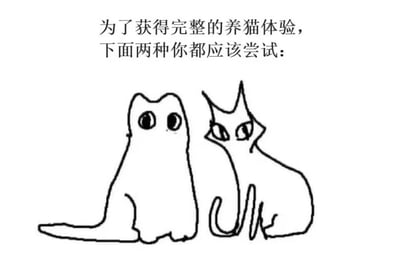 这是一张图文混排的趣味梗图，上方配有文字“为了获得完整的养猫体验，下面两种你都应该尝试：”，下方是两只风格完全反差的手绘猫咪。左侧的猫咪外形圆润柔和，有着大大的圆眼睛，看起来软萌乖巧，是大众认知里温顺可爱、能带来治愈感的猫咪形象；右侧的猫咪线条尖锐，轮廓棱角分明，眼神锐利又带着不屑感，是那种看起来不好惹、性格高冷傲娇的猫咪形象。这张图用两种极端反差的猫咪形象，调侃养猫过程中会遇到的两种截然不同的猫咪状态，一种是软萌粘人带来的治愈体验，一种是高冷傲娇带来的“挫败感”趣味体验，两种感受结合才是完整的养猫感受，精准戳中了养猫人群的共鸣。