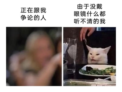 这是一张左右对比的拼接式表情包，左侧是经过模糊处理的人物形象，配文“正在跟我争论的人”，模拟近视人群没戴眼镜时看外界的模糊视觉效果；右侧是知名的“餐桌猫”表情包，猫咪从餐桌下探出头，表情呆滞茫然，配文“由于没戴眼镜什么都听不清的我”，生动且幽默地还原了近视者没戴眼镜时，面对他人争论却因为视觉模糊导致感知迟钝，进而一脸懵圈的尴尬日常状态，精准戳中近视人群的共鸣点。