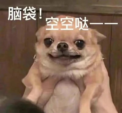 图片中是一只被人捧在手心的吉娃娃小狗，它有着圆滚滚的脑袋、大大的眼睛和略带茫然的表情。图片上方叠加了白色文字“脑袋！空空哒——”，生动形象地表达出一种大脑一片空白、毫无思绪的状态。常被用于幽默地形容人在疲惫、走神或忘记事情时的放空状态。