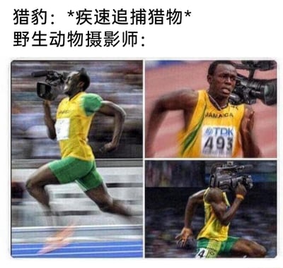 这是一张搞笑创意梗图，上方配有文字“猎豹：*疾速追捕猎物* 野生动物摄影师：”，下方通过三张经过P图改编的短跑名将尤塞恩·博尔特的跑步照片，以夸张的方式表现野生动物摄影师的工作状态：为了捕捉猎豹追捕猎物的珍贵画面，摄影师需要拥有如同博尔特一般的超快速度，甚至将摄影师的形象与博尔特结合，有的画面中博尔特扛着摄像机全力奔跑，有的画面则将博尔特的头部替换为摄像机，用戏谑的手法调侃野生动物摄影师为了拍摄需要跟上动物的速度，工作强度极大。