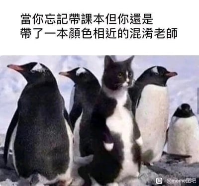这是一张经过P图改编的静态搞笑图文，画面呈现了雪地中的一群企鹅，其中混入了一只黑白配色的猫，猫的颜色和企鹅的黑白配色高度相近，从视觉上看很容易和企鹅混淆。图片上方配有繁体转简体为“当你忘记带课本但你还是带了一本颜色相近的混淆老师”的文字，用这个动物场景来比喻学生时代的趣事：学生忘记带课本时，会拿一本颜色和课本相近的书放在桌上，试图蒙混老师的检查，将猫混入企鹅群的视觉效果和学生的行为对应起来，十分生动幽默，引发有类似经历的人的共鸣。
