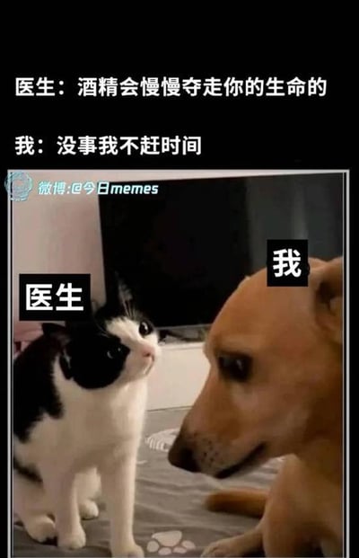 图片上半部分为文字对话，医生说“酒精会慢慢夺走你的生命的”，“我”回应“没事我不赶时间”。下半部分是一张照片，左侧一只黑白相间的猫被标注“医生”，正抬头看向右侧的棕色狗，狗被标注“我”，表情淡定。通过动物拟人化和幽默对话，形成反差萌效果，调侃面对健康警告时的轻松态度。