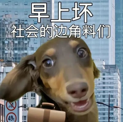 这是一张P图改编的静态表情包，主体是一只被赋予人类神态的腊肠犬，狗狗眼睛睁大、嘴巴微张，呈现出疲惫又略带戏谑的神情，背上还背着一个棕色的公文包，仿佛是准备去上班的职场人。背景是现代化的城市高楼建筑，左下角还能看到限重49吨和禁止货车通行的交通标识。图的上方配有文字“早上坏 社会的边角料们”，其中“早上坏”是“早上好”的谐音，用反常规的问候搭配“社会的边角料”这个自嘲式的称呼，精准戳中当代打工人、职场人的疲惫与无奈，以幽默戏谑的方式表达对职场日常的自我调侃，很容易引发职场群体的情绪共鸣。