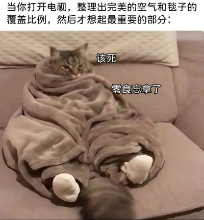 图片上方有一段文字："当你打开电视，整理出完美的空气和毯子的覆盖比例，然后才想起最重要的部分："。下方是一只被棕色毯子包裹着的猫，只露出头和两只白色的爪子，猫的表情看起来有些无奈。图片中猫的位置有两行文字："该死"和"零食忘拿了"。这张图片通过拟人化的手法，幽默地表现了人们在准备享受休闲时光时突然想起忘记准备零食的无奈心情。