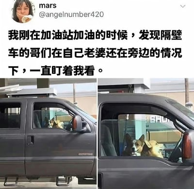 社交媒体帖子截图，上方文字描述“在加油站加油时发现隔壁车的哥们在老婆旁边一直盯着自己看”，下方左右两张对比图显示隔壁车其实是两只柯基犬从车窗向外凝视，通过文字与图像的反差制造幽默的误会场景。