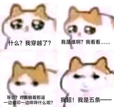 这是一张由四格组成的连环图文混排梗图，改编自知名的“mur猫（悲伤小猫）”表情包。四格内容以“穿越”为核心脉络，通过猫咪神态的变化搭配文字，演绎了一段搞笑的穿越场景：第一格中，猫咪瞪大双眼，配文“什么？我穿越了？”，表现出角色刚发现穿越时的震惊与错愕；第二格猫咪眼神迷茫，配文“我是谁啊？我看看……”，传递出对自身身份的疑惑；第三格猫咪眯起眼睛，配文“等会？对面躺着那逼一边结印一边哔哔什么呢？”，展现角色注意到周围异常细节后的疑惑；第四格猫咪表情变得拽酷，配文“我超！我是五条——”，这里结合了热门动漫《咒术回战》中的高人气角色五条悟，暗示角色发现自己穿越成了这个实力强大的角色，完成了从疑惑到恍然大悟的搞笑转折，契合了网络上流行的穿越文套路和二次元玩梗文化，整体风格诙谐有趣，精准戳中二次元爱好者的笑点。