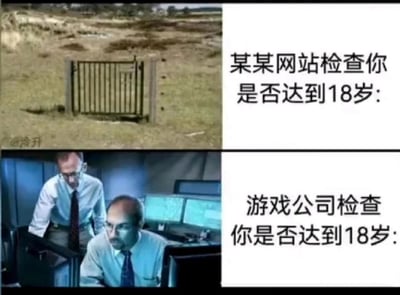 这是一张上下分栏的对比类网络梗图，通过画面和文字的反差来制造笑点。上半部分展示了一片空旷的户外草地，中间只有一个简易的铁栅栏，配文“某某网站检查你是否达到18岁”，以此调侃普通网站的18岁年龄验证非常敷衍，仅仅是走个形式，几乎没有实际的核查作用；下半部分则是两个穿着正装的男性工作人员，在布满电脑屏幕的监控室里，表情严肃专注地查看屏幕内容，配文“游戏公司检查你是否达到18岁”，用来吐槽游戏公司因为防沉迷政策等原因，对用户是否年满18岁的验证极为严格，与普通网站的敷衍形成鲜明对比，夸张地表现出两种不同平台在年龄验证力度上的巨大差异。