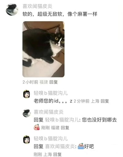 一张社交媒体对话截图，展示了用户讨论猫咪触感的有趣交流。中心是一只黑白相间的猫咪图片，用户评论其"超级无敌软，像个麻薯一样"，引发了关于用户名的幽默互动。