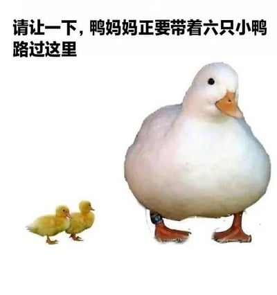 图片中右侧是一只体型较大的白色鸭妈妈，左侧有两只黄色的小鸭子。图片上方配有文字“请让一下，鸭妈妈正要带着六只小鸭路过这里”。有趣的是，文字中提到有六只小鸭，但画面中仅能看到两只，形成一种幽默的反差效果，让人会心一笑。