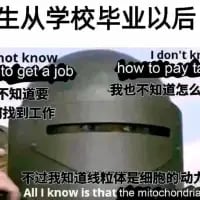 网络meme模板