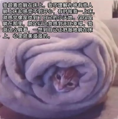 图片中一只猫咪被柔软的浅紫色毛毯紧紧裹住，只露出小脑袋，眼神平静地看向镜头。上方配有一段文字，表达了对躺在床上的极度喜爱：“我超喜欢躺在床上。我不理解为啥有些人躺上床却感觉不到开心，有时候我一上床，就感觉像是找到了自己的小天地。仅仅是躺在那里，就足以让我感到无比幸福。我就这么躺着，一想到自己正舒服地躺在床上，心里就美滋滋的。” 整体画面温馨治愈，通过猫咪的舒适状态与文字内容相呼应，传递出对居家舒适生活的向往和满足感。