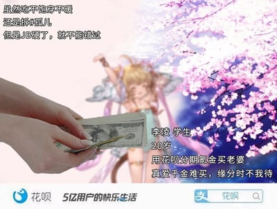 这是一张网友创作的恶搞类合成图，整体模仿支付宝花呗的广告格式。画面底部保留了花呗的品牌标识和“5亿用户的快乐生活”的宣传语，以及带有花呗字样的搜索框；画面中上部，一只真人的手拿着一叠美元钞票，背景是一位姿态活泼的二次元女性角色；左上角配有低俗且夸张的旁白文字“虽然吃不饱穿不暖 还是拆#孤儿 但是JB硬了，就不能错过”，右侧则标注了编造的人物“李凌”的信息：20岁学生，用花呗分期氪金买老婆，还配有“真爱千金难买，缘分时不我待”的荒诞标语。整张图通过夸张、低俗的表述，讽刺部分年轻人沉迷二次元角色，不惜使用超前消费工具进行非理性氪金的行为，用反讽的方式调侃花呗倡导的超前消费理念被滥用的现象。