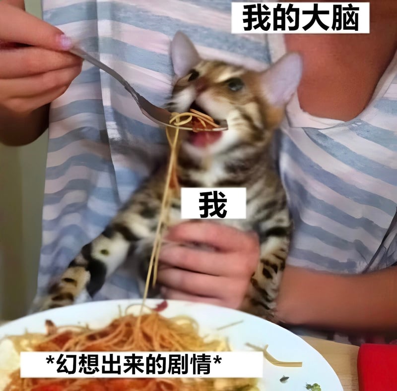 虎斑小猫1