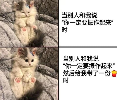 图片为2x2的四格连环图，左侧两格是同一只戴着蝴蝶结的灰白相间长毛小猫。上左图中小猫仰卧在灰色毛毯上，双眼紧闭，四肢蜷缩，显得慵懒困倦；下左图中小猫则睁着圆溜溜的眼睛，表情警觉且带有好奇。右侧两格为文字说明：上右文字是“当别人和我说‘你一定要振作起来’时”，对应小猫无动于衷的困倦状态；下右文字是“当别人和我说‘你一定要振作起来’然后给我带了一份🍟时”，对应小猫瞬间清醒的反应。通过小猫前后表情的对比，幽默地展现了空泛的鼓励与带有实际好处（食物）的鼓励之间的效果差异，引发观众共鸣。