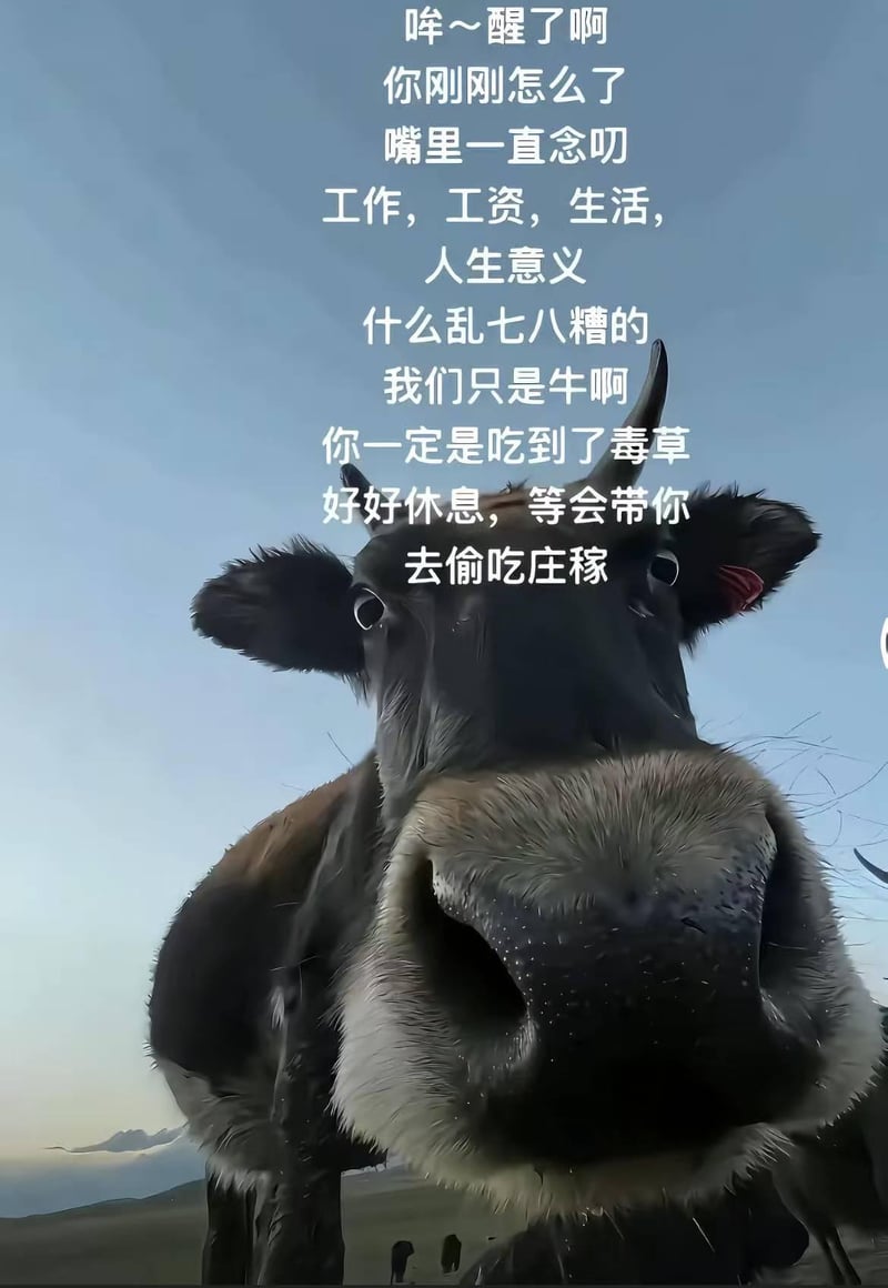 AI原创生成角色