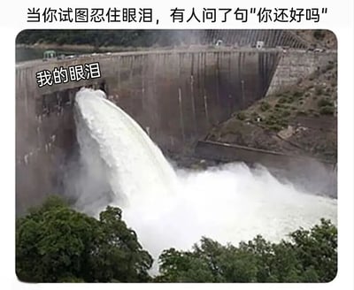 这张梗图使用大坝泄洪的照片来比喻人强忍的情绪突然爆发的场景。图片上方配有文字"当你试图忍住眼泪，有人问了句'你还好吗'"，而大坝的水流处标注了"我的眼泪"，形象地表现了原本努力克制的情绪在被关心询问时瞬间决堤的状态，用夸张的视觉比喻制造幽默和共鸣效果。