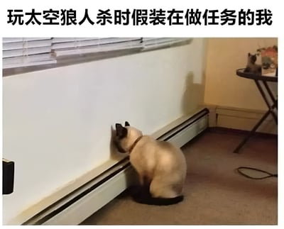 图片上方配有文字“玩太空狼人杀时假装在做任务的我”，下方是一只暹罗猫蹲坐在房间角落的地面上，身体朝向墙壁，头部低垂靠近踢脚线，仿佛在专注地进行某项“任务”。图片通过猫咪一本正经“假装忙碌”的姿态，幽默类比了在游戏《太空狼人杀》（Among Us）中，狼人玩家为了掩人耳目而假装执行任务的场景，充满趣味性和共鸣感。