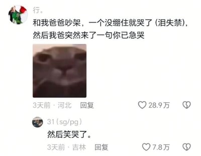 这是一张社交媒体截图，展示了一个用户分享的搞笑家庭经历。用户发帖称："和我爸爸吵架，一个没绷住就哭了（泪失禁），然后我爸突然来了一句你已急哭"。帖子下方配有一张模糊的动物面部特写图片，可能是想表达哭笑不得的心情。另一位用户回复："然后笑哭了。" 该帖子获得了28.9万的点赞量，显示出内容的受欢迎程度。