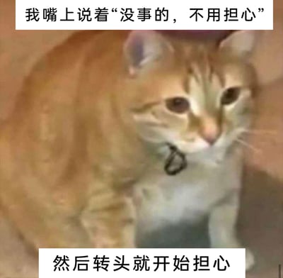 这是一张文字加注的猫咪表情包，图中的橘白猫咪耷拉着眼皮，神情低落惆怅，安静坐着，看起来满是忧虑。图片上下配有两段文字，上方为“我嘴上说着‘没事的，不用担心’”，下方为“然后转头就开始担心”，精准刻画了很多人在生活中明明内心焦虑不安，却要在他人面前故作镇定，转头就陷入自我担忧的状态，十分贴合当代人嘴硬又容易焦虑的情绪，能引发强烈的情绪共鸣。