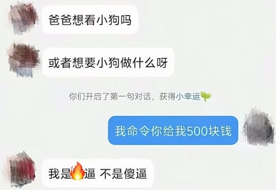 这是一张对话式梗图，通过四组文字气泡展现了一段幽默对话。上方两个气泡以可爱语气提问："爸爸想看小狗吗"和"或者想要小狗做什么呀"，中间显示"你们开启了第一句对话，获得小幸运"并配有绿色叶子符号。下方蓝色按钮式气泡突然反转，出现强硬要求"我命令你给我500块钱"，最后一个气泡以"我是🔥逼 不是傻逼"的粗俗回应形成喜剧效果。