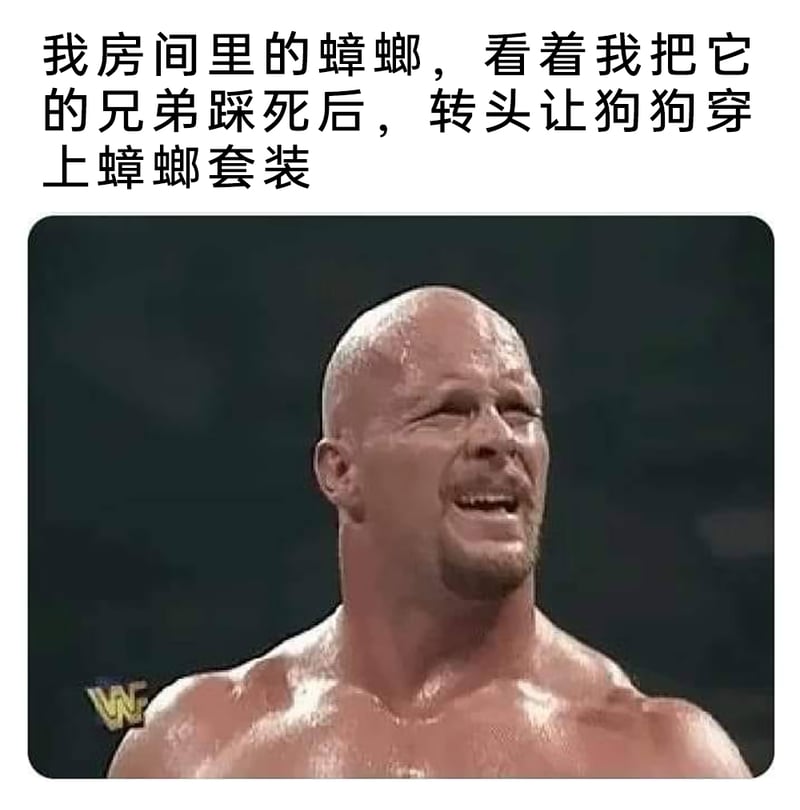 WWE（原WWF）职业摔角赛事