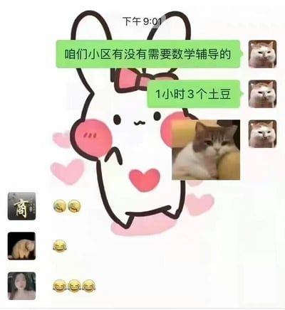 这是一张微信小区业主群的聊天记录截图，时间显示为下午9:01。发言者在群内发布了提供数学辅导的邀约，特别之处在于收费方式并非金钱，而是1小时3个土豆，同时还附带了一张瘫坐的猫咪表情包，显得十分搞笑接地气。群内其他成员看到消息后，都回复了笑哭的表情来表达调侃和觉得有趣的心情。截图背景还添加了一个粉色系的卡通兔子图案，兔子脸颊泛红，做出比心的姿势，为画面增添了软萌的氛围。左下角还有一个带有“商”字的图标水印。整体内容充满了生活化的趣味，另类的收费方式是核心笑点，展现了普通人日常聊天中的幽默创意。