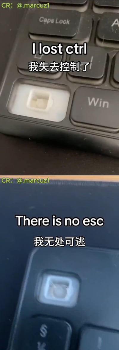 这是一张上下拼接的实拍键盘梗图，<br>上图展示了缺失Ctrl键的键盘区域，配文“I lost ctrl 我失去控制了”；<br>下图展示了缺失Esc键的键盘区域，配文“There is no esc 我无处可逃”。<br><br>双关梗解析：利用键盘按键的英文含义玩谐音，Ctrl是Control（控制）的缩写，按键缺失对应“失去控制”；Esc是Escape（逃离）的缩写，按键缺失对应“无处可逃”，用硬件的缺失隐喻情绪上的失控和无路可退的崩溃状态，精准戳中打工人的情绪痛点。