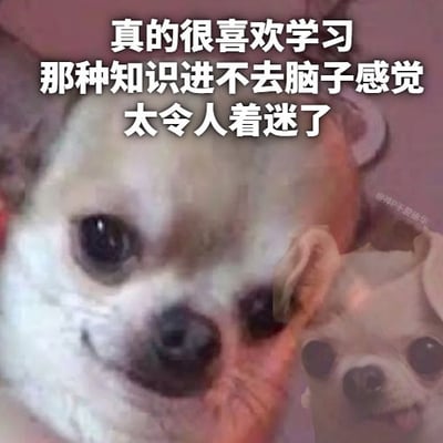 这是一张校园或宿舍风格的梗图，画面右下角有一只小狗表情呆滞地盯着前方，上方大字配文：“真的很喜欢学习 那种知识进不去脑子的感觉”，展现出“表面热爱学习但总是学不进去”的无奈又搞笑的情绪。

**文字有调侃和自嘲意味，表达了网友们普遍遇到学习难以进入状态的困境。**