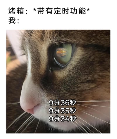 这是一张充满生活趣味的搞笑梗图，上方以对话形式呈现文字“烤箱：*带有定时功能* 我：”，下方是一张狸花猫的脸部特写照片，创作者通过P图在猫咪的眼睛里添加了烤箱中披萨的倒影，同时在猫咪嘴部附近配上不断递减的倒计时数字“9分36秒、9分35秒、9分34秒……”，精准地还原了人们等待烤箱里的美食出炉时，明明烤箱有定时功能，却还是忍不住一秒一秒数着时间、急切盼望的状态，用猫咪专注的神态放大了这种迫切想吃美食的心情，让人感同身受。