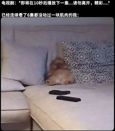 图片上方是电视剧提示文字："即将在10秒后播放下一集...请勿离开，精彩..."，下方文字写着"已经连续看了6集都没动过一块肌肉的我："。图片主体是一只棕色小狗仰卧在沙发的角落，头靠在两个抱枕之间，姿态非常放松慵懒。沙发上还放着两个黑色遥控器，整体场景生动展现了人们沉迷追剧时的状态，用小狗的形象幽默比喻了追剧时的慵懒姿态。