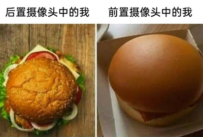这是一张左右分栏的对比类梗图，左上方配有文字“后置摄像头中的我”，对应的是一个配料极其丰富的汉堡，从俯视角度能清晰看到生菜、洋葱圈、番茄片、芝士、肉饼等多层食材，整体饱满诱人；右上方配有文字“前置摄像头中的我”，对应的是一个仅露出顶部面包、几乎看不到内部配料的汉堡，外观显得干瘪单薄。图中用两种汉堡的强烈反差，生动调侃了手机后置摄像头拍照效果精致好看，而前置摄像头自拍时效果不尽人意的普遍体验，以自嘲的方式戳中很多人对前置自拍的“颜值焦虑”，十分贴切有趣。