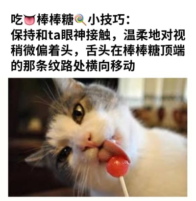 图片上方为黑色文字内容，标题为“吃棒棒糖小技巧”，并配有舌头和棒棒糖emoji，正文详细描述了吃棒棒糖的“技巧”：保持和ta眼神接触，温柔地对视，稍微偏着头，舌头在棒棒糖顶端的那条纹路处横向移动。图片下方是一只灰白色猫咪的特写，猫咪正伸出舌头舔舐一根红色的棒棒糖，眼神专注地看向镜头，头部微微偏斜，动作与上方文字描述高度契合，形成一种拟人化的搞笑效果，通过萌宠行为与“技巧”文字的结合，营造出轻松幽默的氛围。