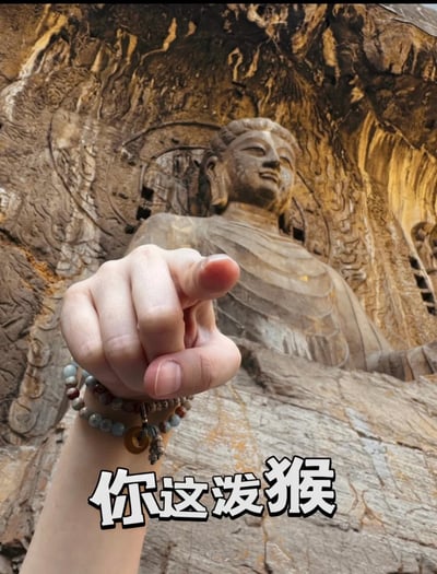这是一张以龙门石窟佛像为背景，前景有一只佩戴佛珠的手指向观众，配文“你这泼猴”的恶搞梗图。该图以动漫/影视中“佛祖训猴”的经典场景为灵感，在现实古迹和现代网络用语之间形成强烈反差。这样的画面经常被用来调侃、善意批评好友，既有趣又自带文化梗。

*谐音与双关说明：*
“泼猴”暗指西游记孙悟空，佛祖训诫的梗，常用以活跃气氛或玩笑吐槽他人调皮。