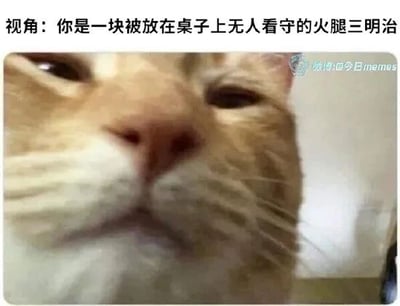 这是一张带有趣味文字的静态宠物照片，图中是近距离拍摄的橘猫脸部特写，猫咪眼神紧盯前方，神态带着觊觎感，仿佛正盯着眼前的食物。上方配文设定视角为“被放在桌子上无人看守的火腿三明治”，通过拟人化的视角转换，让观看者代入即将被猫咪“觊觎”的三明治的视角，制造出一种紧张又搞笑的反差感，生动地表现出猫咪对食物的渴望，充满了生活趣味。