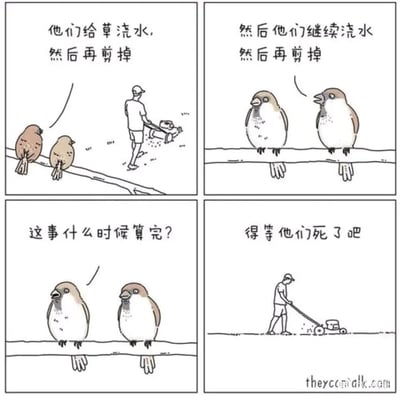这是一组四格连环卡通漫画，以两只小鸟的视角展开：第一格呈现人类给草坪浇水后又用剪草机剪掉的场景，配文描述该行为；第二格中一只小鸟吐槽人类会重复进行浇水再剪草的行为；第三格另一只小鸟疑惑发问这种循环何时结束；第四格小鸟给出无奈的回答“得等他们死了吧”，同时画面里人类仍在操作剪草机。漫画用黑色幽默的方式，从小鸟的视角讽刺人类这种看似无意义的重复日常劳作，带有荒诞又扎心的吐槽感。