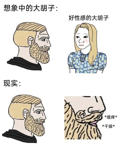 这是一张采用上下对比形式的卡通漫画，用来调侃理想与现实中留大胡子的差异。上半部分为想象中的场景：左侧是一位留着整齐有型、看起来很精致的大胡子男性，右侧的金发女性面带羞涩，配文“好性感的大胡子”，表现出对这类大胡子的欣赏；下半部分为现实场景：同样的男性，右侧是他胡子的特写，标注“*瘙痒* *干燥*”，展现出实际留大胡子会面临的皮肤不适问题，通过强烈的反差制造出搞笑的效果。